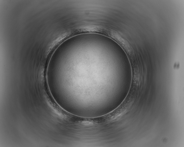 X0000097480394200802221357