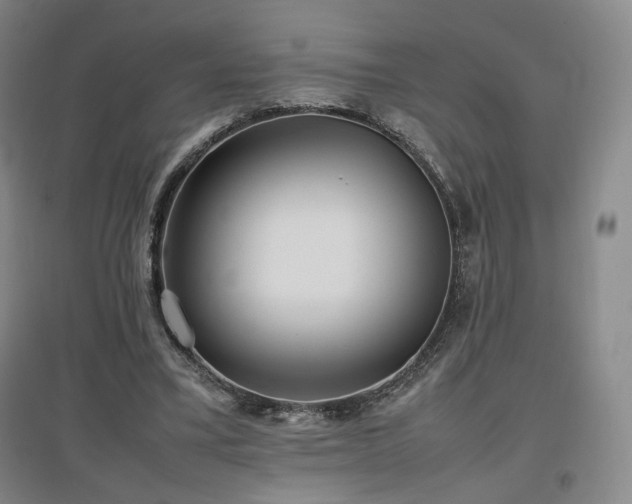 X0000097480395200802221357