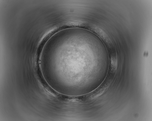 X0000097480396200802221357
