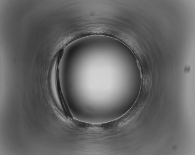 X0000097480397200802221357