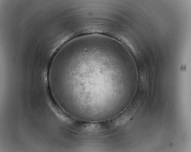 X0000097480398200802221357