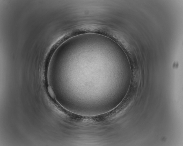 X0000097480399200802221357