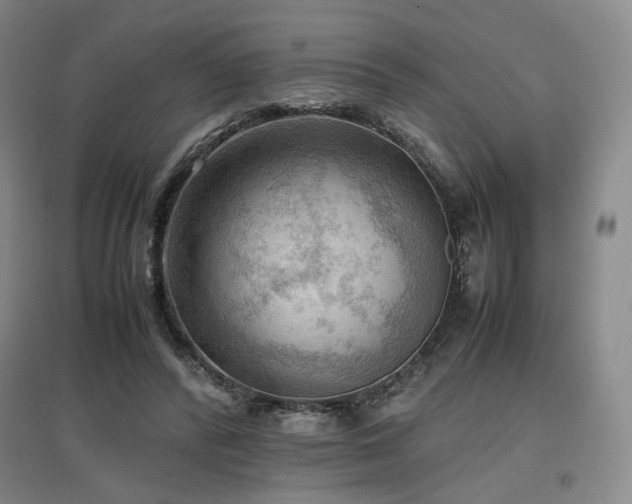 X0000097480400200802221357