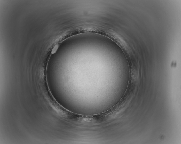 X0000097480401200802221357