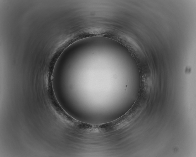 X0000097480404200802221357