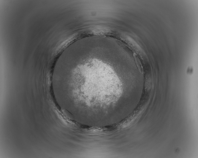 X0000097480405200802221356