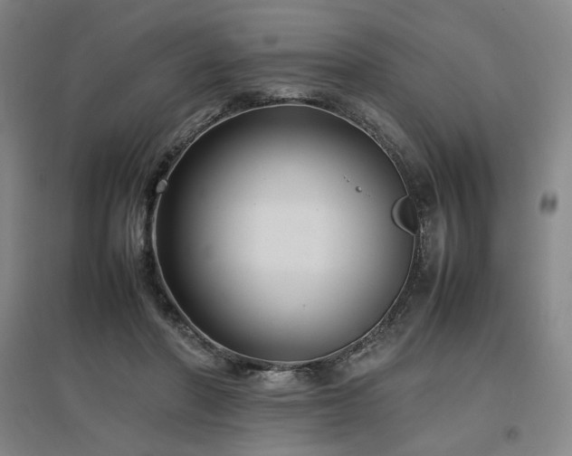 X0000097480406200802221356