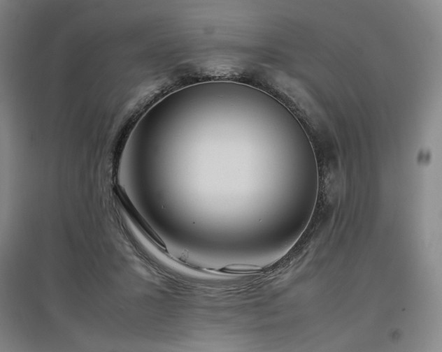 X0000097480407200802221356