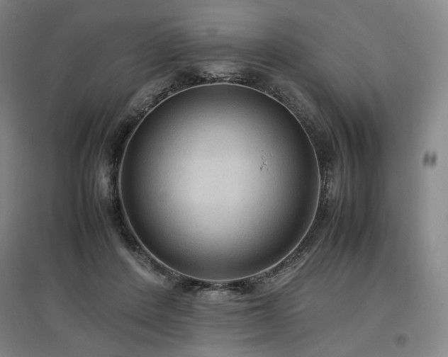 X0000097480408200802221356