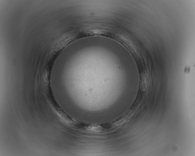X0000097480410200802221356