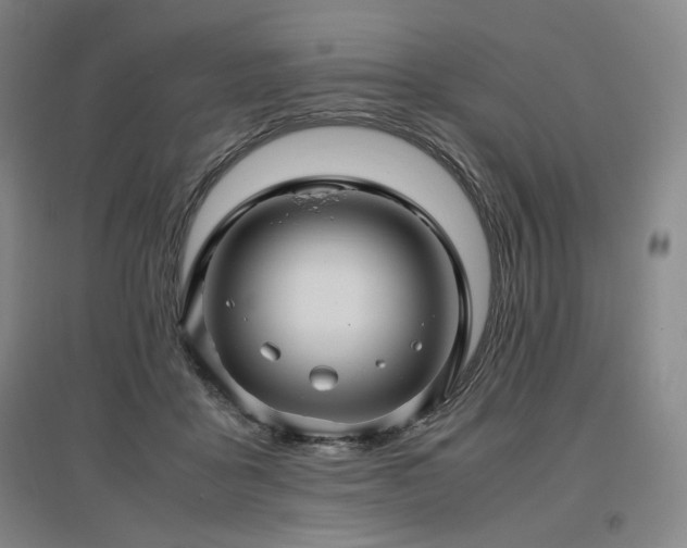 X0000097480411200802221356