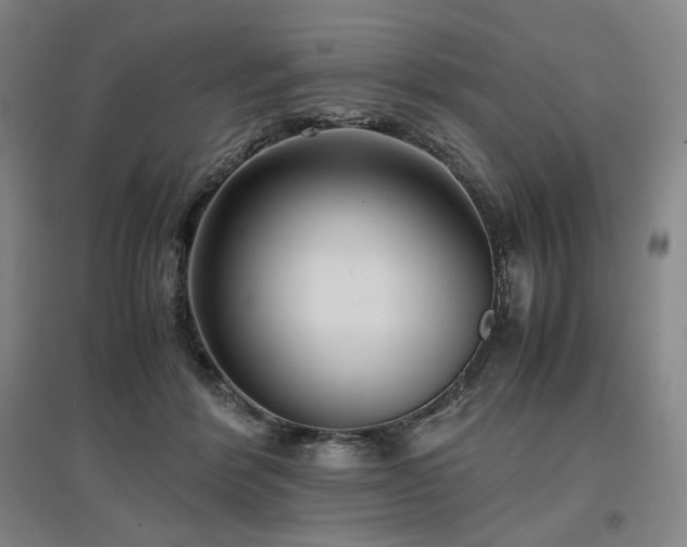 X0000097480412200802221356
