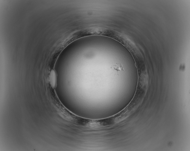 X0000097480413200802221356