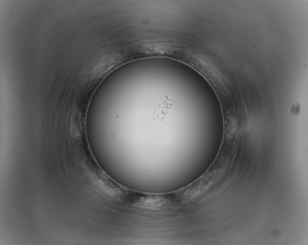 X0000097480414200802221356