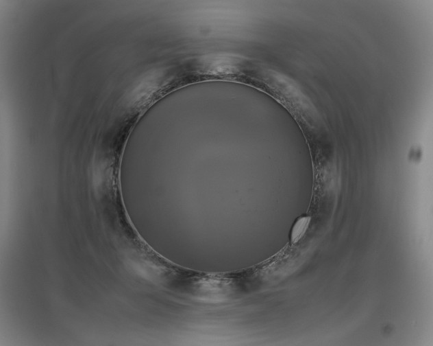 X0000097480415200802221356