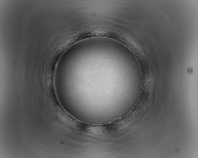 X0000097480417200802221356