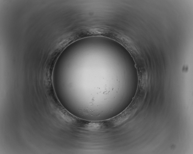 X0000097480418200802221356