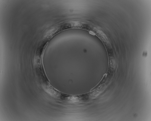 X0000097480419200802221356