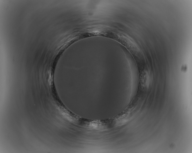 X0000097480420200802221356