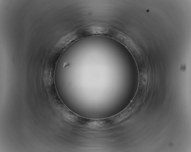 X0000097480422200802221356