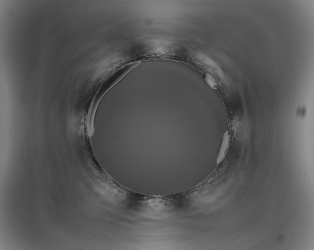 X0000097480423200802221356