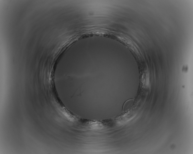 X0000097480424200802221356