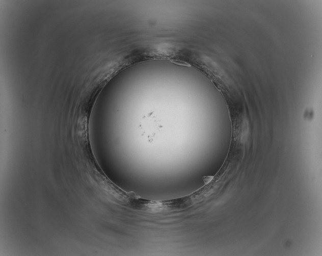 X0000097480425200802221356