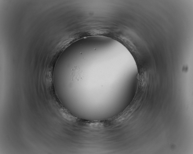 X0000097480426200802221356