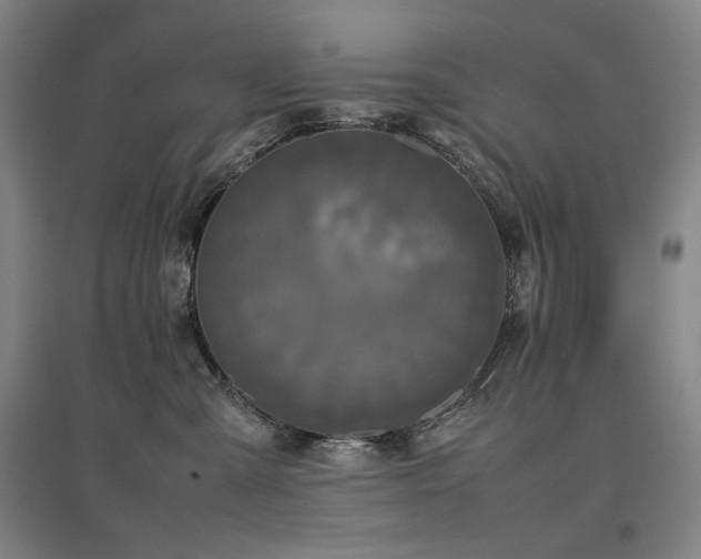 X0000097480427200802221356