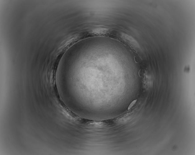 X0000097480428200802221356