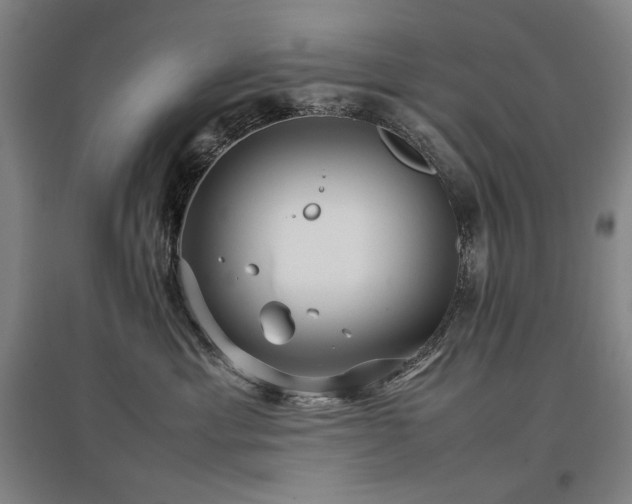 X0000097480429200802221356