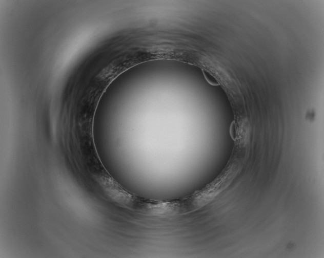 X0000097480430200802221356