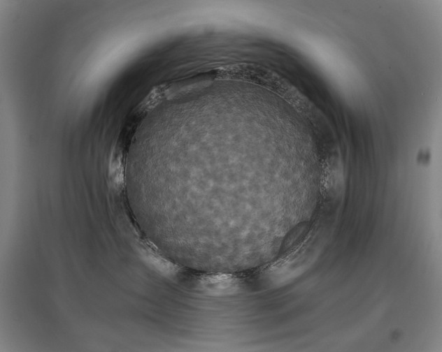 X0000097480431200802221356