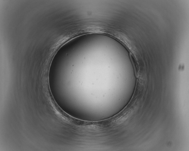 X0000097480433200802221355