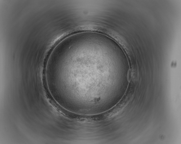 X0000097480434200802221355