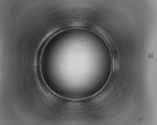 X0000097480435200802221355