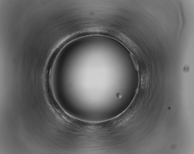 X0000097480436200802221356