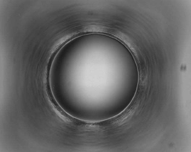 X0000097480437200802221356