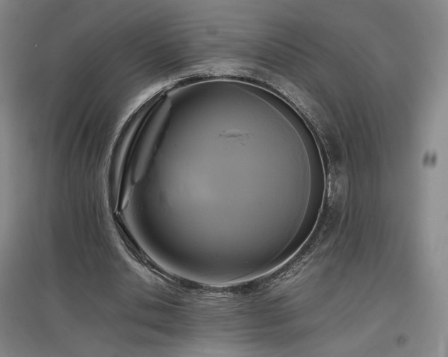 X0000097480438200802221356
