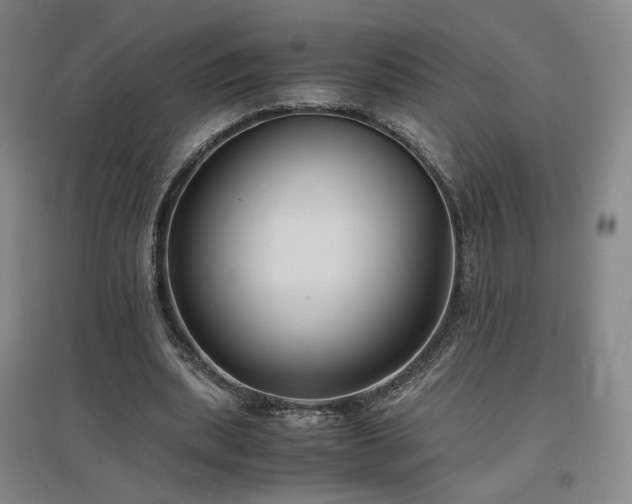 X0000097480439200802221356