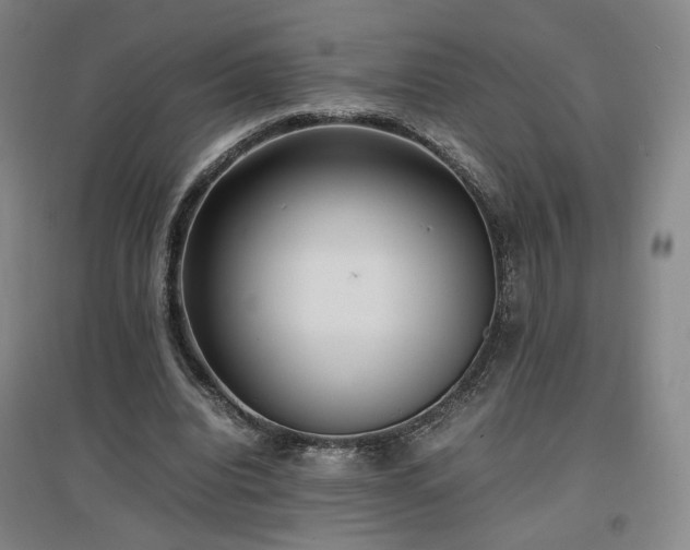 X0000097480440200802221356