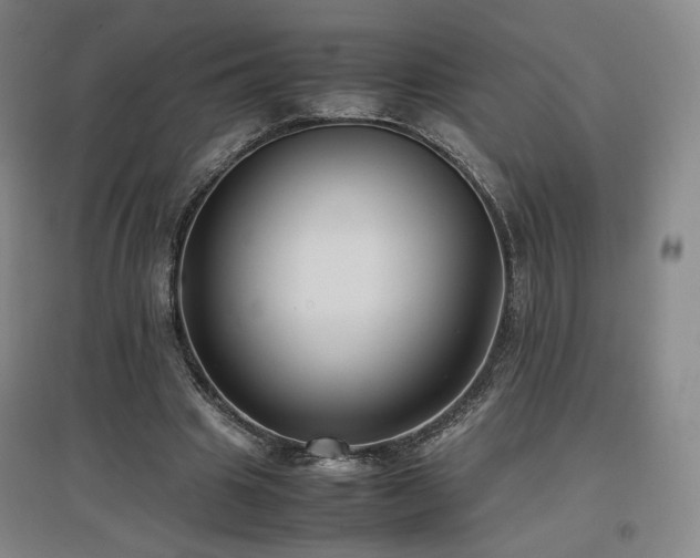 X0000097480441200802221356
