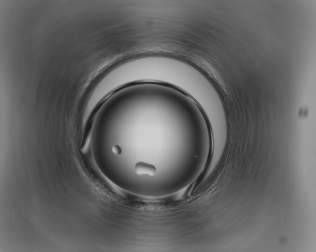 X0000097480444200802221356
