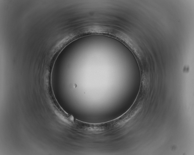 X0000097480445200802221356