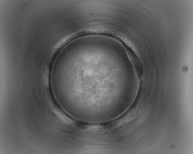 X0000097480446200802221356