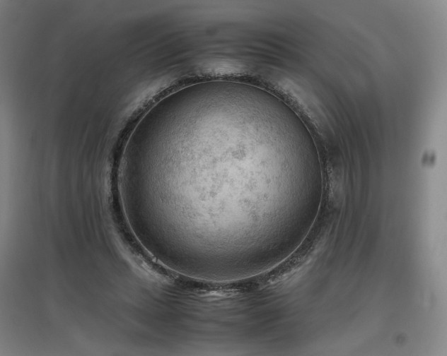 X0000097480447200802221356