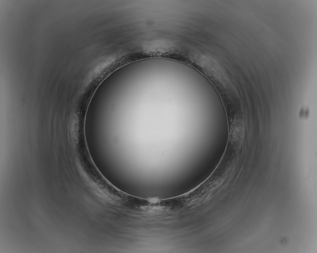 X0000097480448200802221356