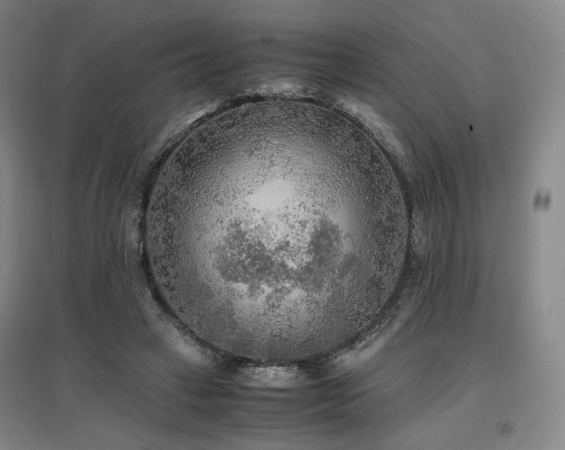 X0000097480449200802221356