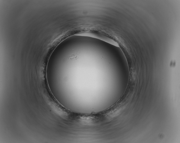 X0000097480450200802221356