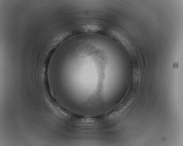 X0000097480451200802221356